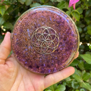 Plato Orgon Semilla de la Vida